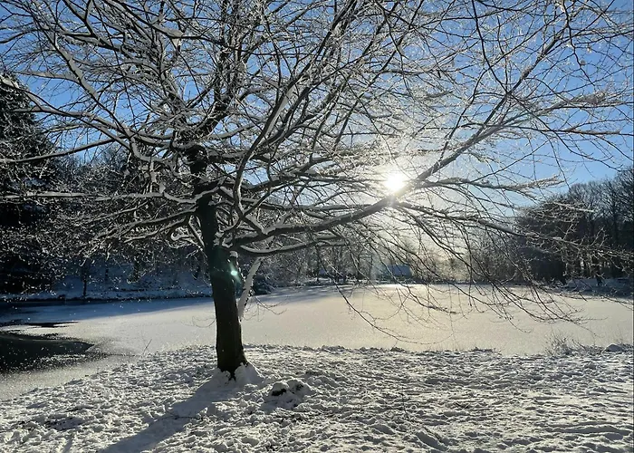 Fully Equipped In Beautiful Nature With View Villa Tistrup