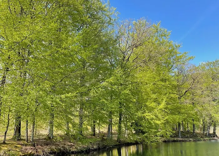 Fully Equipped In Beautiful Nature With View Villa Tistrup